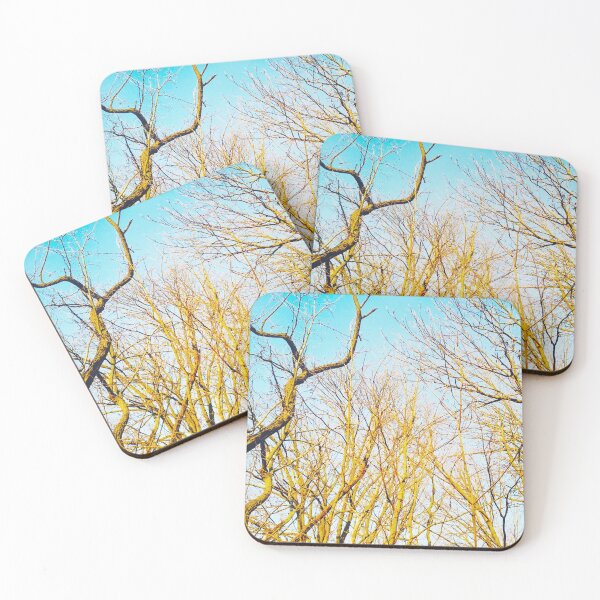 Item preview, Bare winter trees twisting and bending against the background of the blue cloudless sky  designed and sold by helenkaiy.