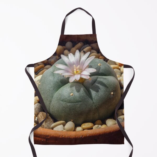 Item preview, Peyote Lophophora - Entheogen psychedelic plant spirits designed and sold by Fruitsome.