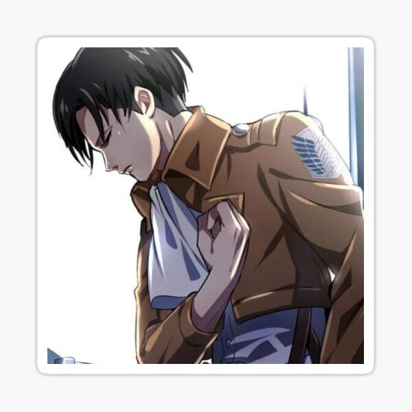 Sasageyo levi Clearance
