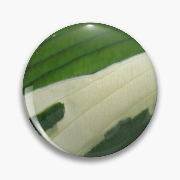 Item preview, Variegated hosta leaf #1 designed and sold by silverwheelarts.