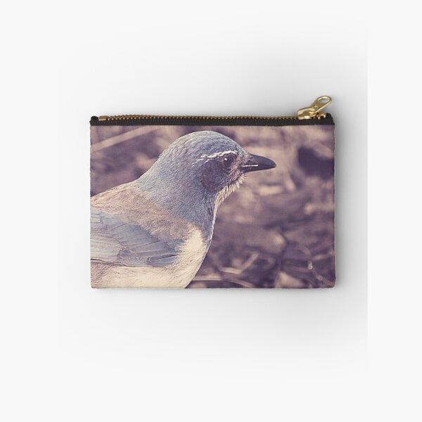 Item preview, California Scrub Jay designed and sold by birdswhatnot.