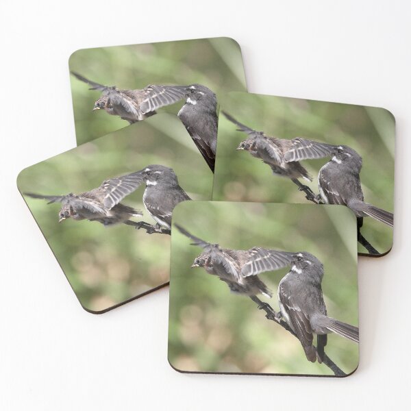 Item preview, Grey Fantail and chick ~ Pre-flight Check   designed and sold by Robert Elliott.