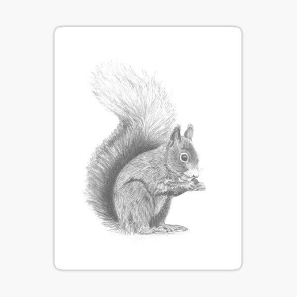 Hamish the Squirrel  Sticker