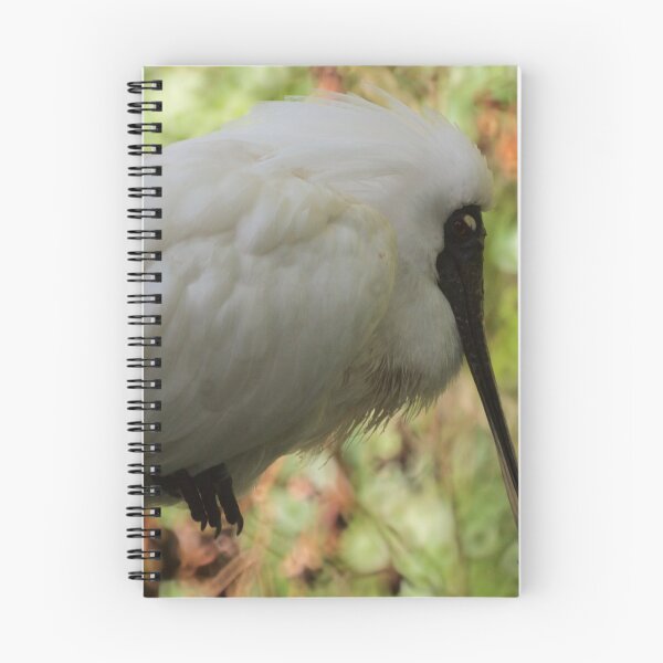 Item preview, Spoonbill designed and sold by D-GaP.