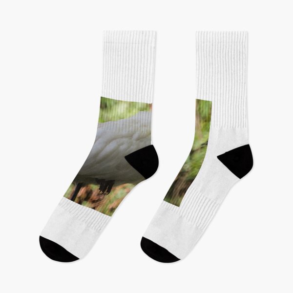 Item preview, Spoonbill designed and sold by D-GaP.