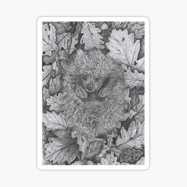 Heidi the Hedgehog Sticker