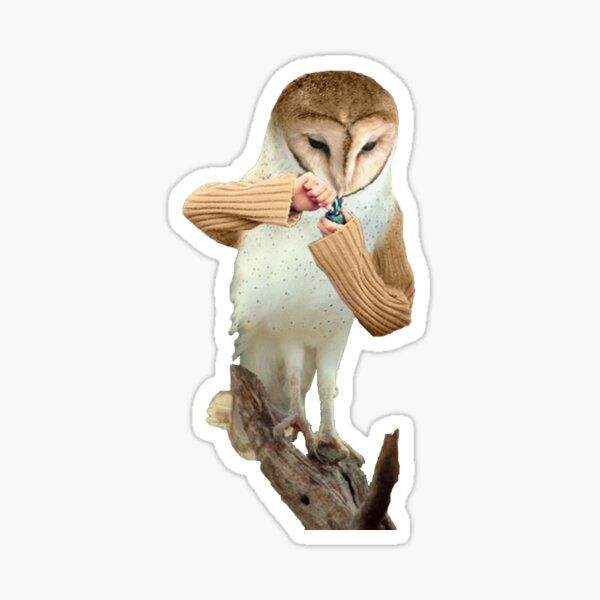 A Barn Owl smoking a Bowl Sticker