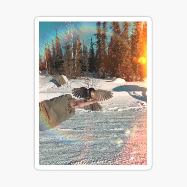 Item preview, Arctic circle Alaska  designed and sold by bAKed333.