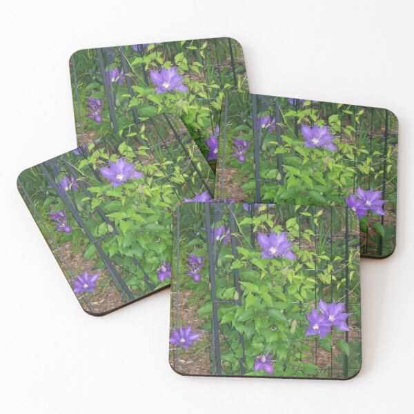 Artikelvorschau, Jackmanii Clematis entworfen und verkauft von M-Baughman-Art.
