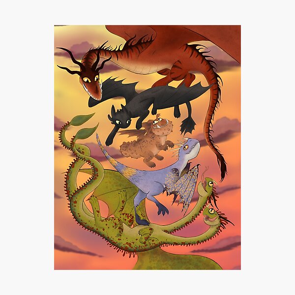 Dragon Companions Photographic Print