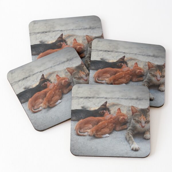 Item preview, Hungry Kittens designed and sold by JhaMesPhotos.