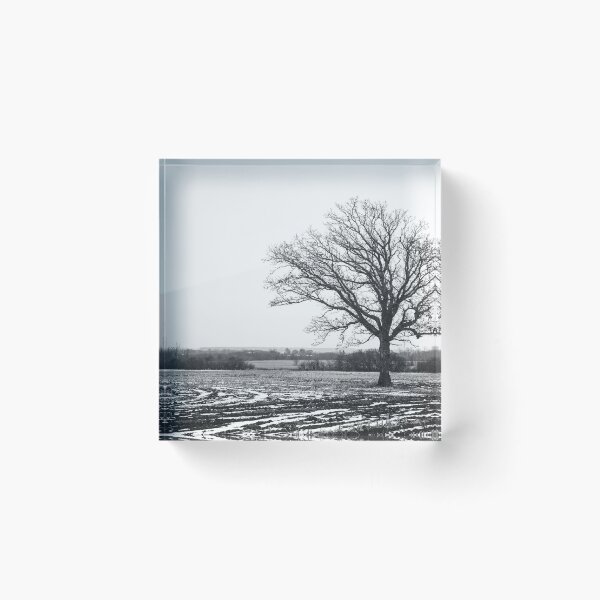 Item preview, Black and white tree designed and sold by AnnoyedMouse.