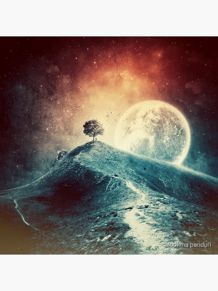 Under the colorful moonlight