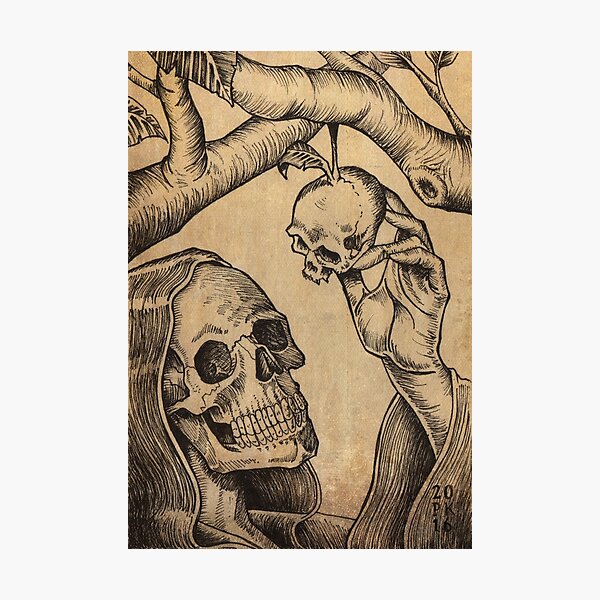 The Harvest Photographic Print