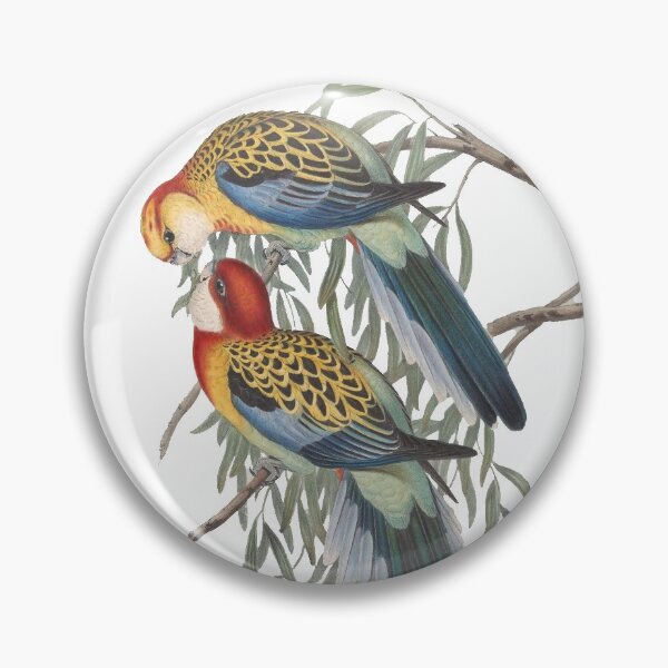 Artikelvorschau, Östliche Rosella entworfen und verkauft von Swags.
