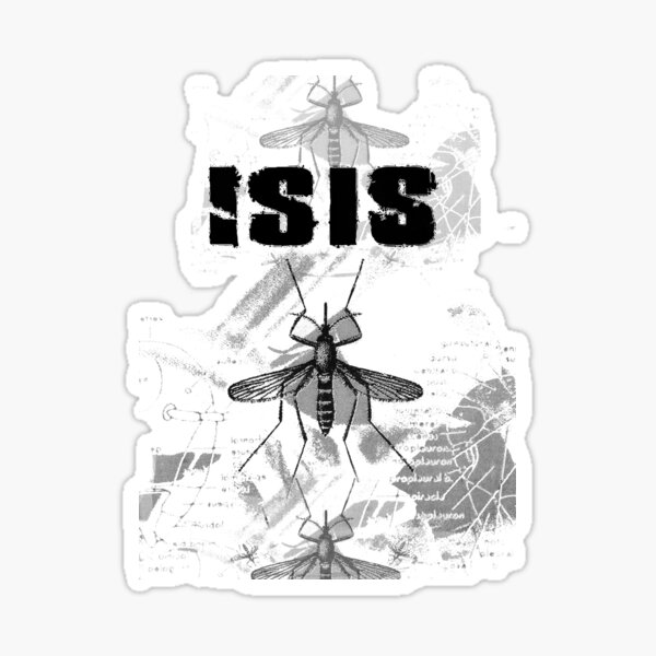 Vista previa del artículo con la obra «Isis - Mosquito», diseñado y vendido por Pedro4271.
