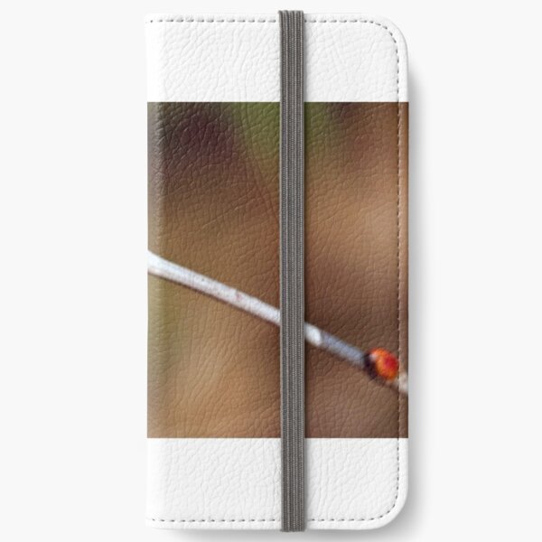 Spring Bud iPhone Wallet