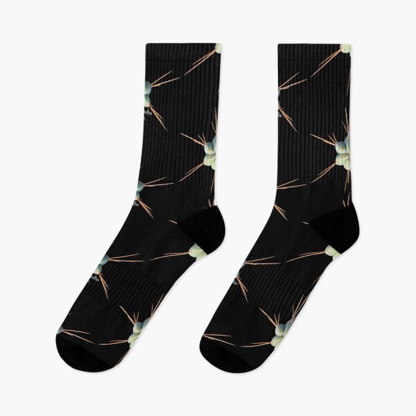 Item preview, Trichocereus Hybrid SS01 x SS02 Tip designed and sold by Cactee.