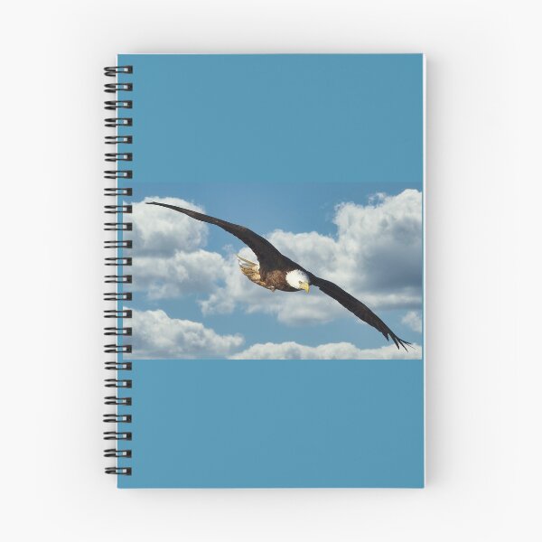 Item preview, Eagle in flight designed and sold by KDartisticeye.