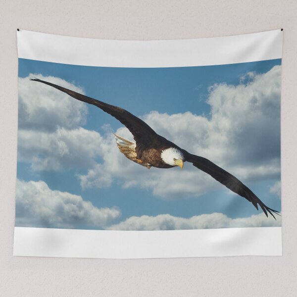 Item preview, Eagle in flight designed and sold by KDartisticeye.