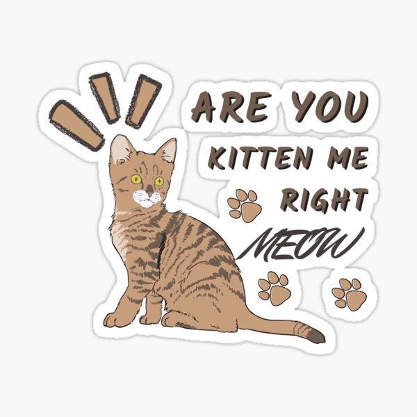 Item preview, Are You Kitten Me Right Meow designed and sold by CWolff.