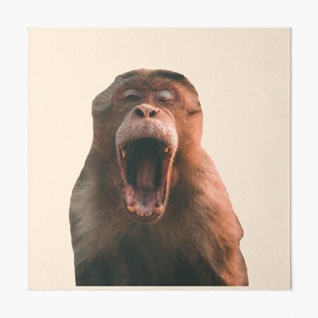 Galeriedruck for Sale mit Lustige Tieraufkleber: Affe mit weit geöffnetem  Mund von Memiefy