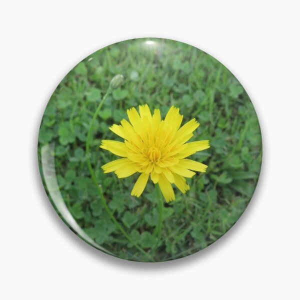 Item preview, Yellow cat's ear flower designed and sold by greentiger1.