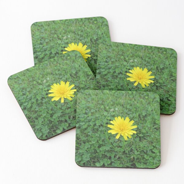 Item preview, Yellow cat's ear flower designed and sold by greentiger1.