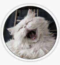 They say that NOTHING beats a good belly laugh! Sticker