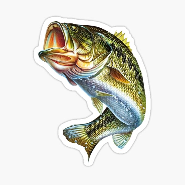 Details about   Fishing Sticker Decal Hooked for Life Large Mouth Bass