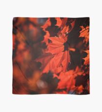 red foliage Scarf
