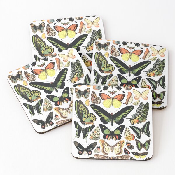 Item preview, Butterfly specimens designed and sold by monsterplanet.
