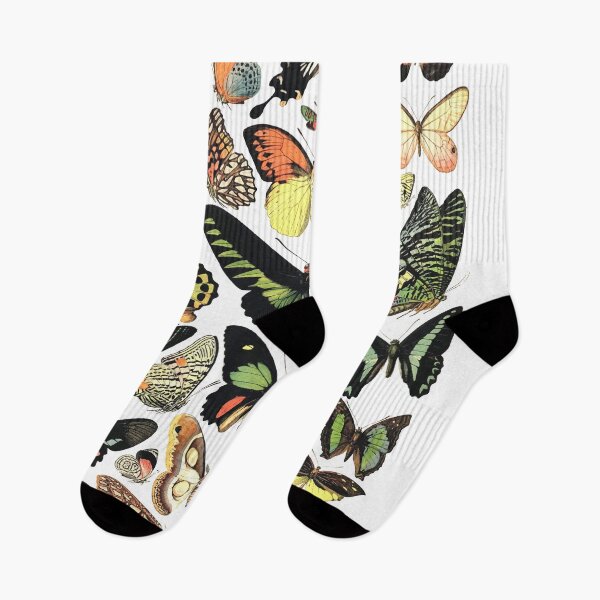Item preview, Butterfly specimens designed and sold by monsterplanet.
