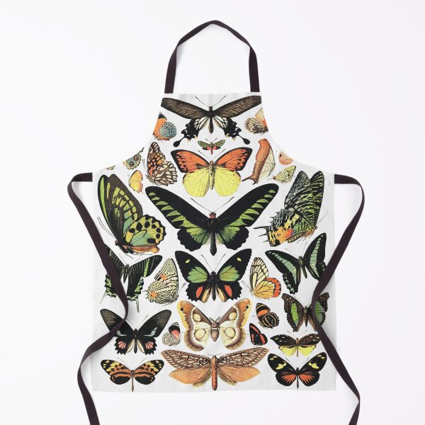 Item preview, Butterfly specimens designed and sold by monsterplanet.