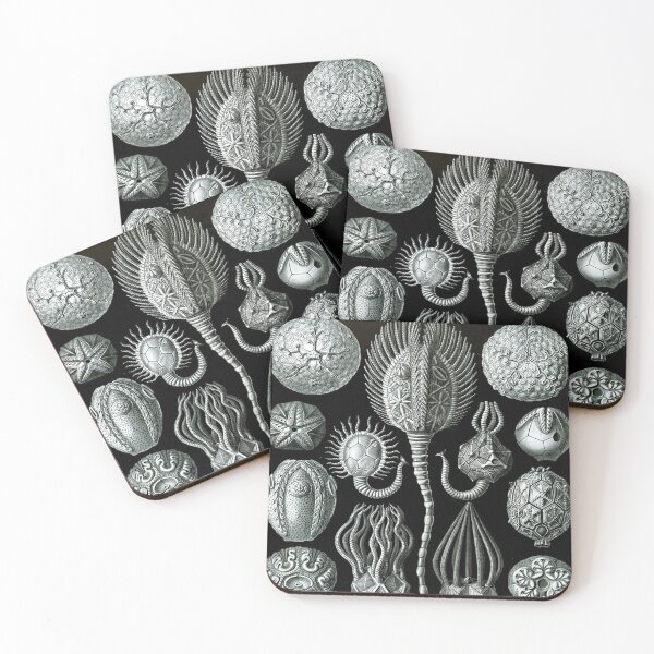 Item preview, Haeckel illustration designed and sold by monsterplanet.