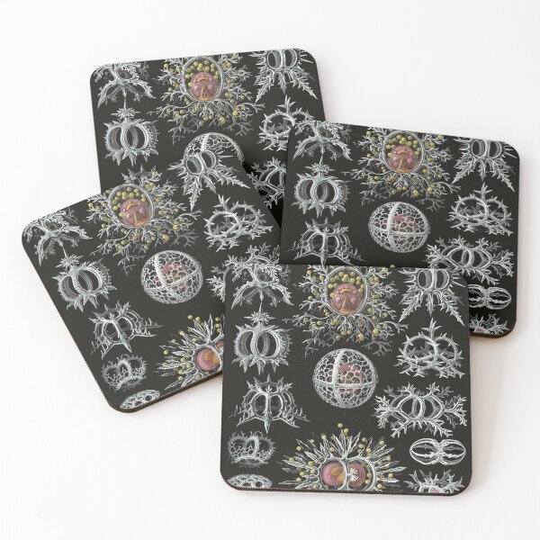 Item preview, Haeckel illustration designed and sold by monsterplanet.