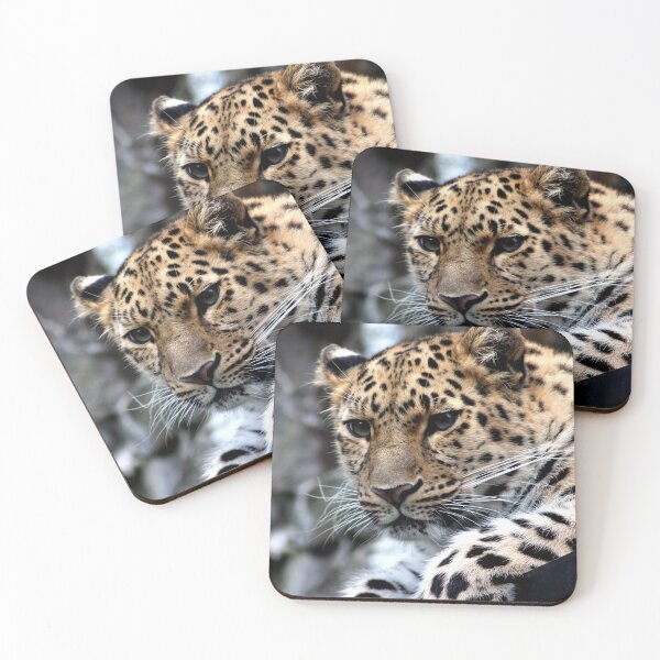 Item preview,  Snow leopard  designed and sold by josephfanous.