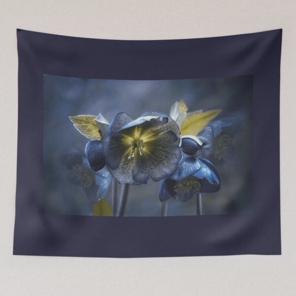 Item preview, Black Hellebores  designed and sold by Alisonchambers2.