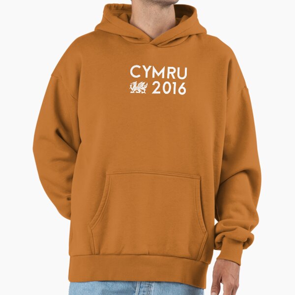 euro 2016 hoodie
