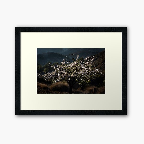 Item preview, Blossom Tree designed and sold by Ralph Goldsmith.
