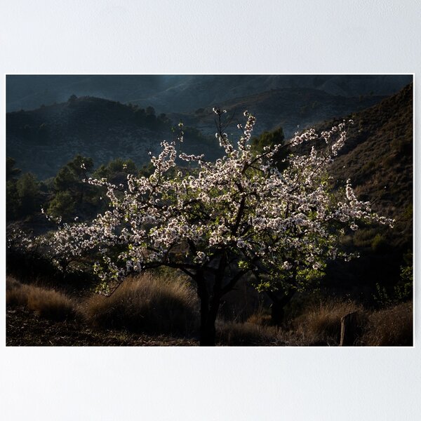 Item preview, Blossom Tree designed and sold by Ralph Goldsmith.