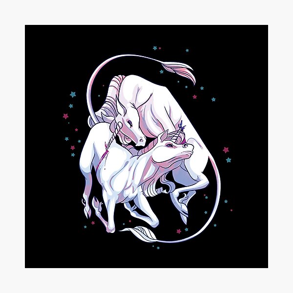 Unicorn Fight! Photographic Print
