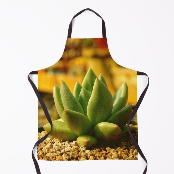 Item preview, Succulents (7) designed and sold by JenChoi.