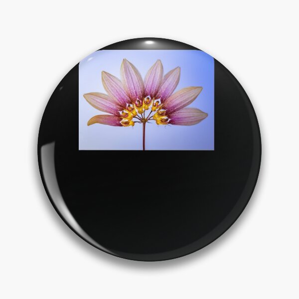 Item preview, Bulbophyllum lepidum orchid III designed and sold by WEARPARTS.