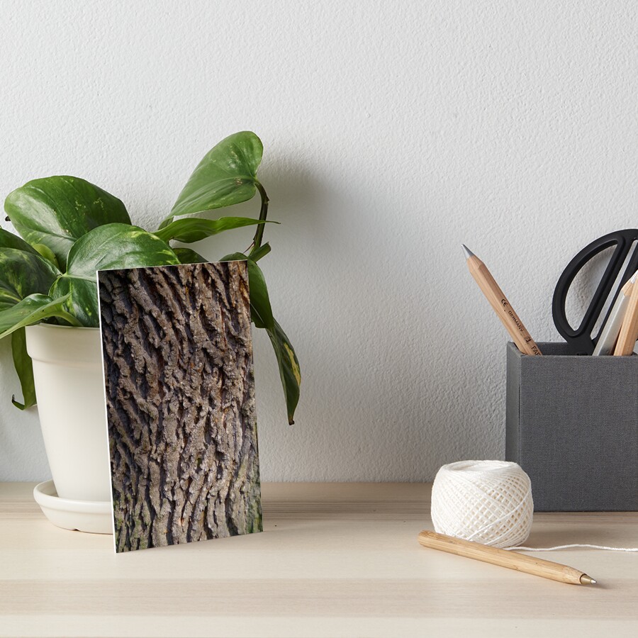 Artikel-Vorschau von Galeriedruck, designt und verkauft von Treemonk.