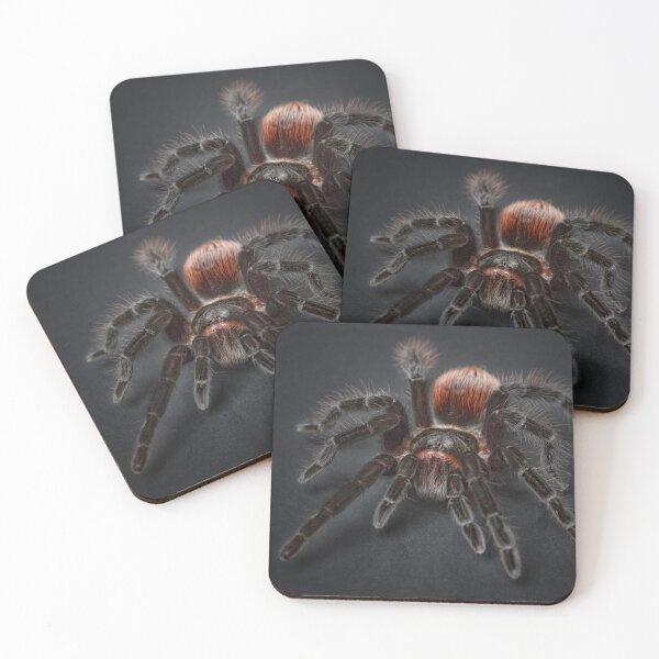 Item preview, Tarantula designed and sold by NW-Photo-Art.