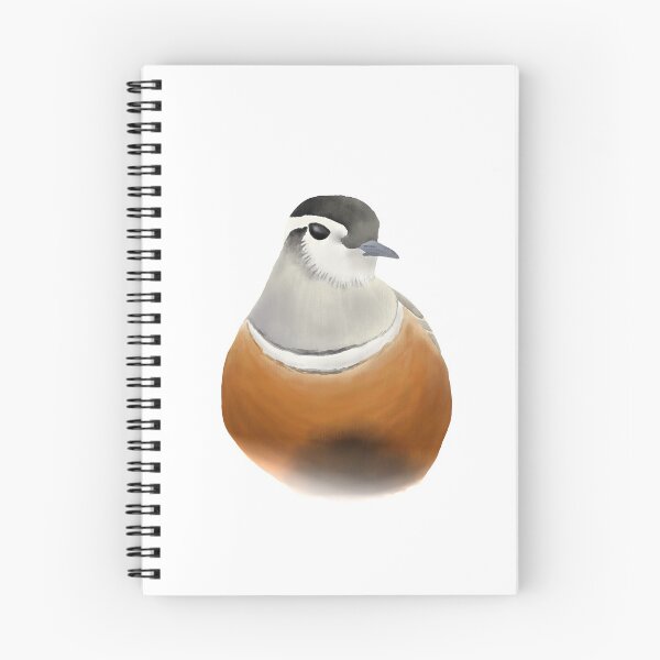Item preview, Adult breeding plumage Eurasian Dotterel designed and sold by AndrasVasasArt.