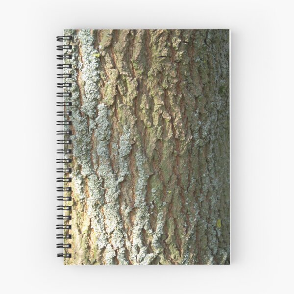 Item preview, Field maple bark pattern designed and sold by Treemonk.
