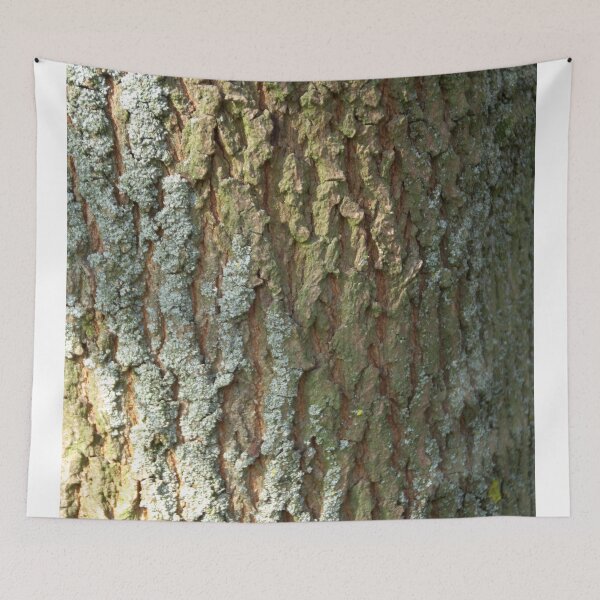 Item preview, Field maple bark pattern designed and sold by Treemonk.