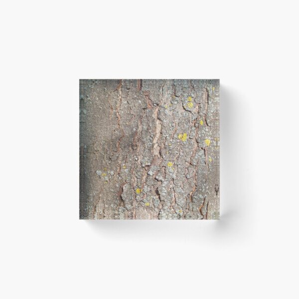 Item preview, Chestnut bark pattern designed and sold by Treemonk.